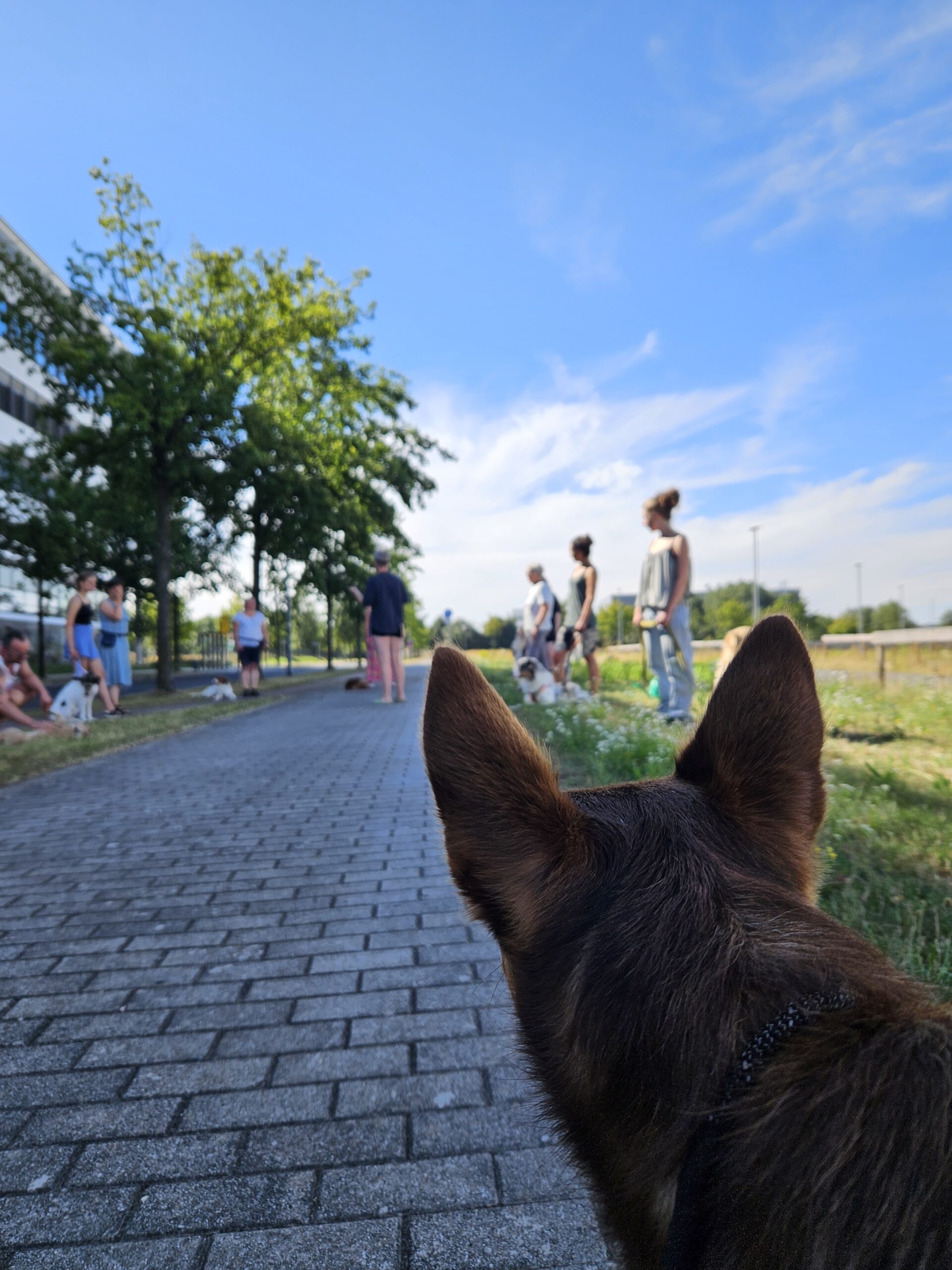gruppentraining